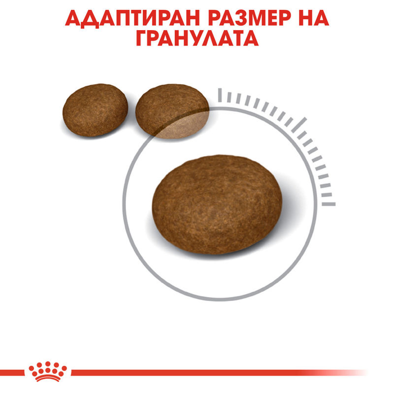 ROYAL CANIN CARE HAIR&SKIN 3