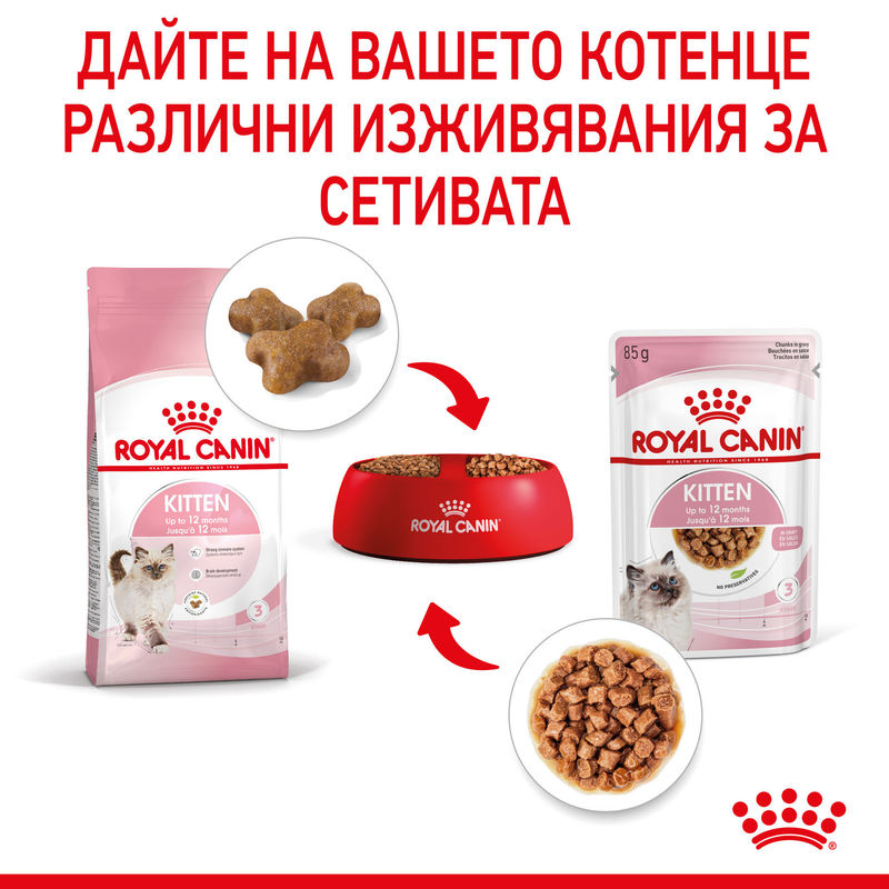 ROYAL CANIN KITTEN in GRAVY 12x85g 9