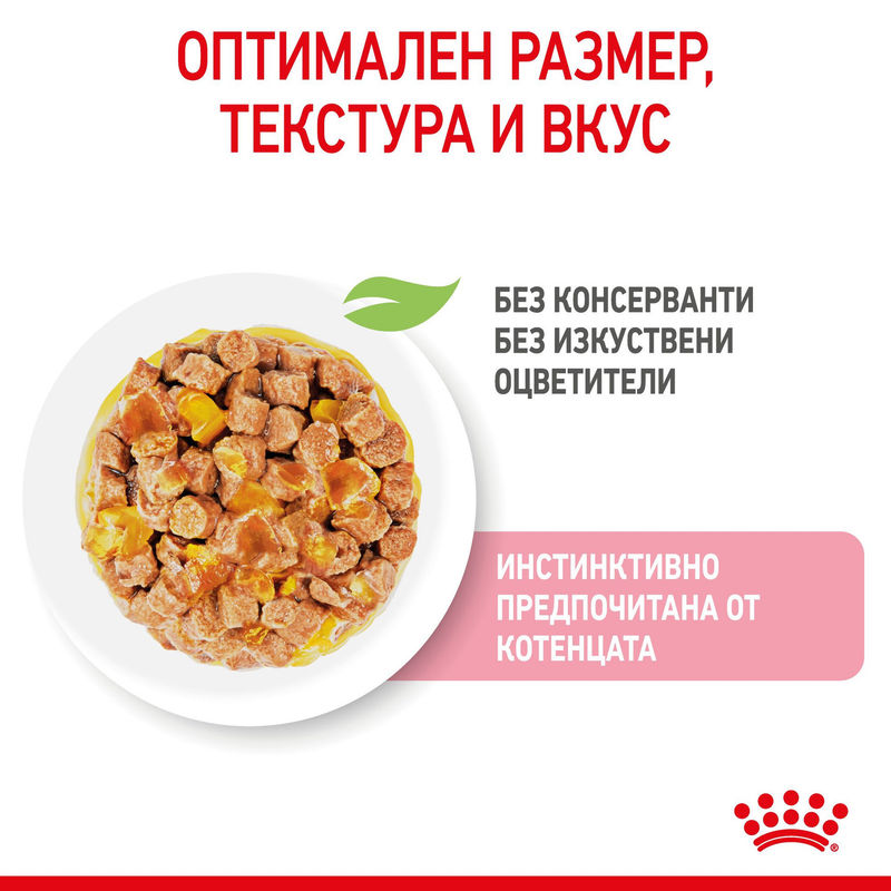 ROYAL CANIN KITTEN in JELLY 12x85g 4