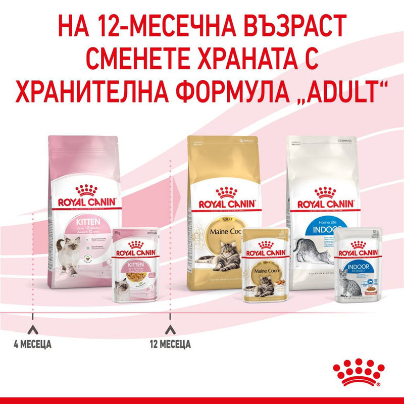 ROYAL CANIN KITTEN in JELLY 12x85g 7