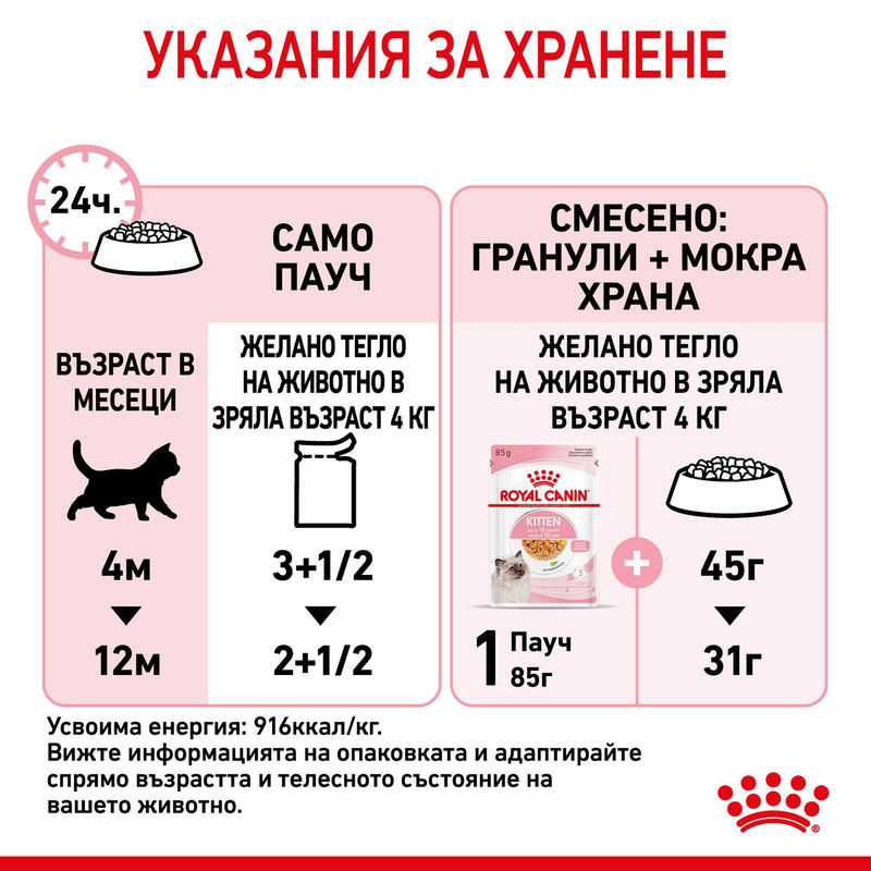 ROYAL CANIN KITTEN in JELLY 12x85g 5