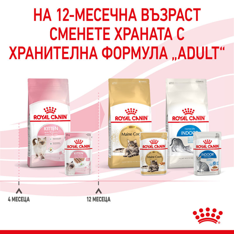 ROYAL CANIN KITTEN IN LOAF 12x85g 10