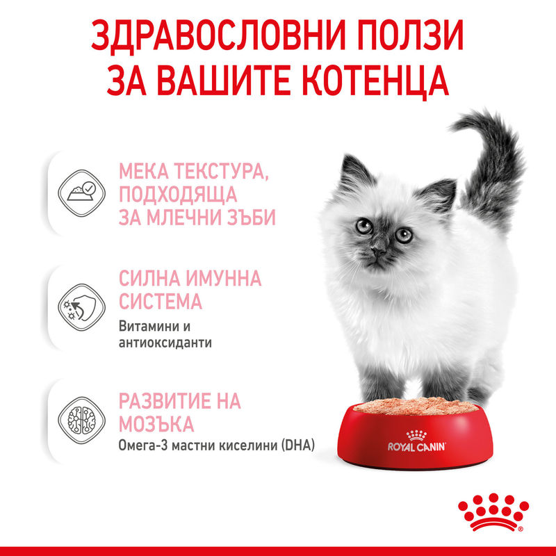 ROYAL CANIN KITTEN IN LOAF 12x85g 2