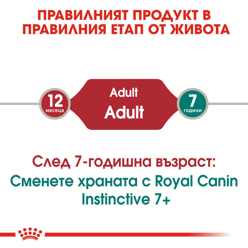 ROYAL CANIN INSTINCTIVE IN JELLY 12x85g 4