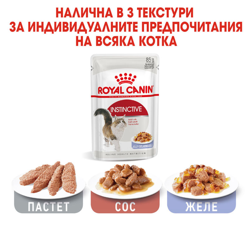 ROYAL CANIN INSTINCTIVE IN JELLY 12x85g 5