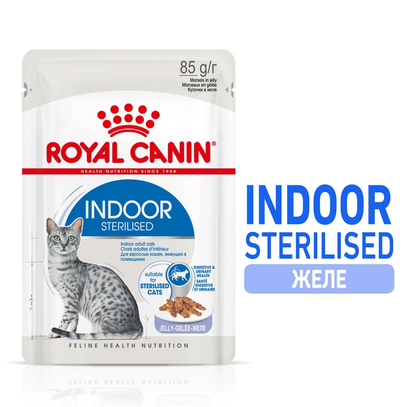 ROYAL CANIN INDOOR JELLY 12x85g 7