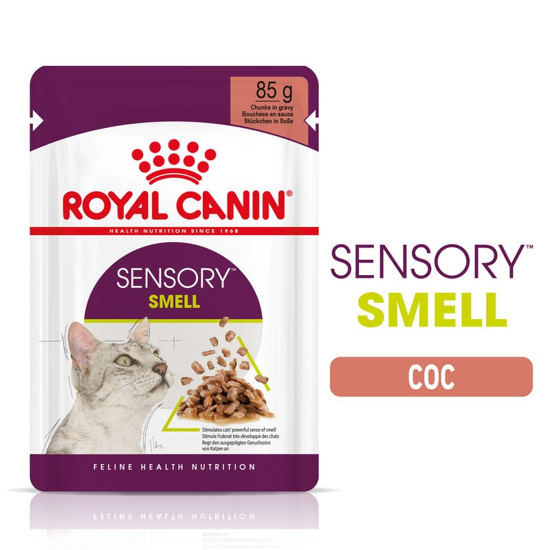 FHN SENSORY SMELL GRAVY 12x85g 8