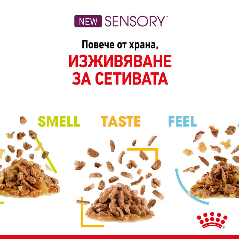 FHN SENSORY SMELL GRAVY 12x85g 6