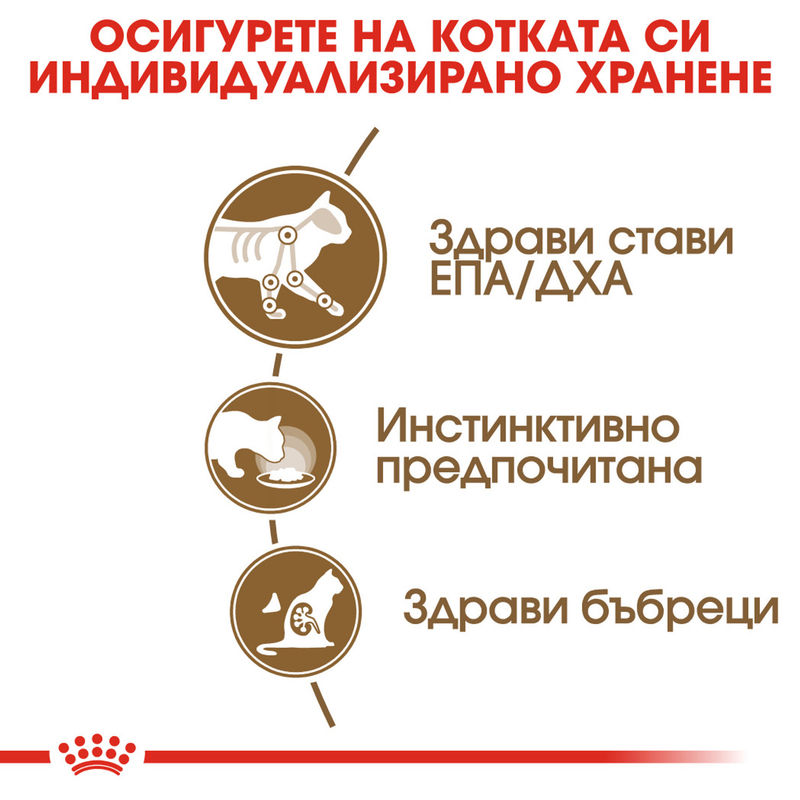 ROYAL CANIN AGEING 12+ 12X85g 6