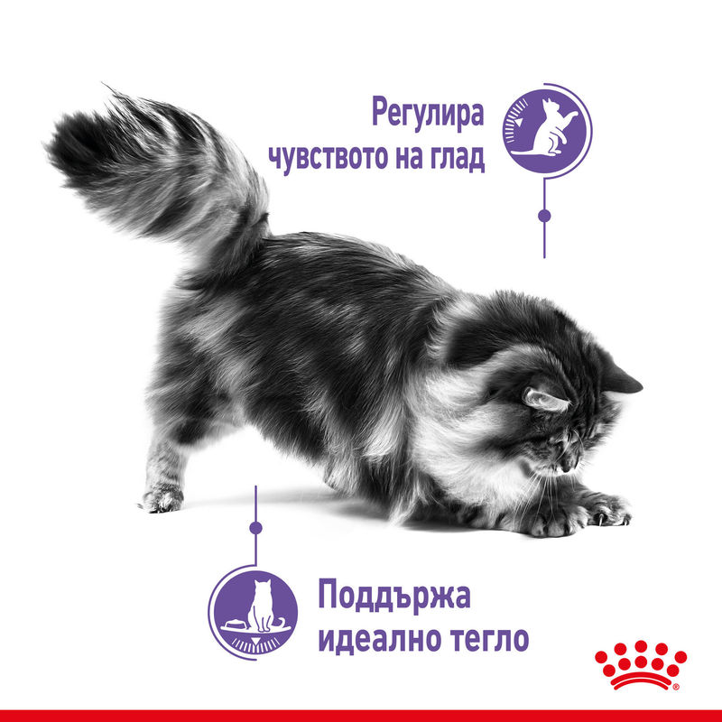 ROYAL CANIN® Appetite Control Pouch 12x85g - Пълноценна храна за котки с контрол на апетита в пауч 5