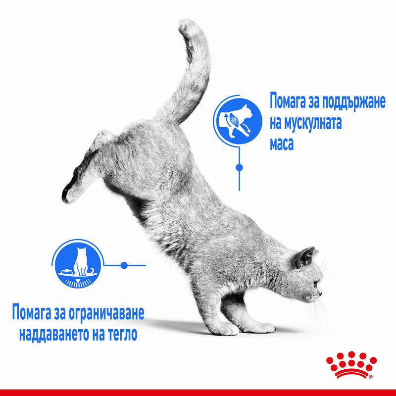 ROYAL CANIN® Care Ultra Light 12x85g - Специализирана храна за котки с наднормено тегло в пауч 6