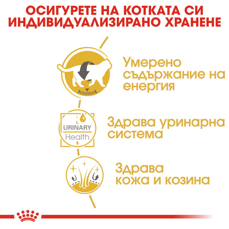 ROYAL CANIN® British Shorthair Pouch 12x85g - Пълноценна храна за котки порода британска късокосместа в пауч 3