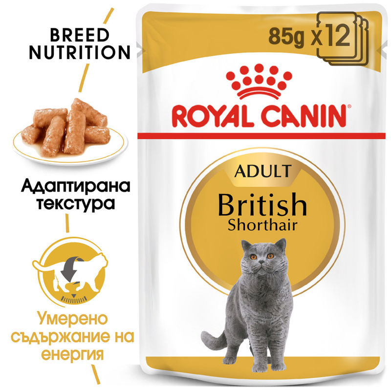 ROYAL CANIN® British Shorthair Pouch 12x85g - Пълноценна храна за котки порода британска късокосместа в пауч 7