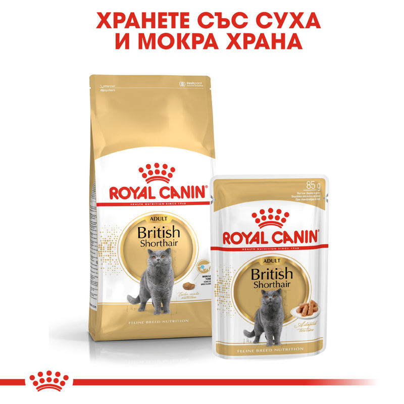 ROYAL CANIN® British Shorthair Pouch 12x85g - Пълноценна храна за котки порода британска късокосместа в пауч