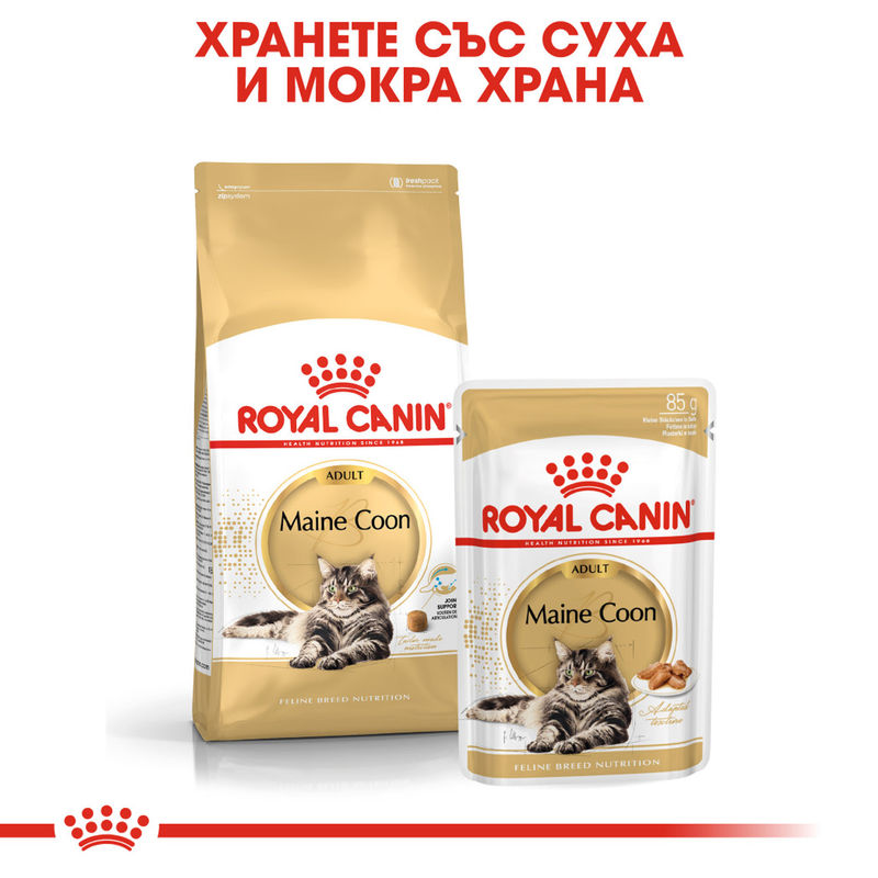 ROYAL CANIN® Maine Coon Pouch 12x85g - Храна в пауч за котки порода Мейн Куун