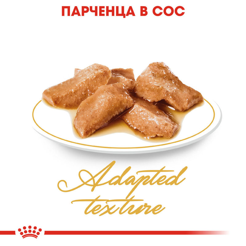 ROYAL CANIN® Maine Coon Pouch 12x85g - Храна в пауч за котки порода Мейн Куун 6