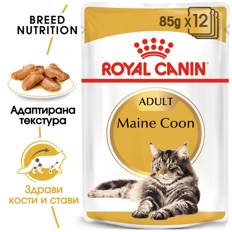 ROYAL CANIN® Maine Coon Pouch 12x85g - Храна в пауч за котки порода Мейн Куун 7