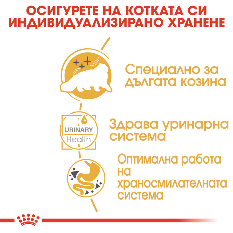 ROYAL CANIN® Persian Pouch 12x85g - Пакет за котки порода Персийска с вкусна храна в пауч 6