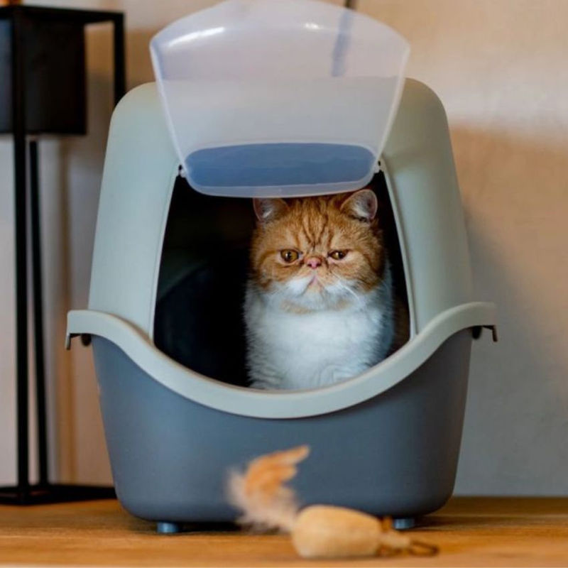 Закрита котешка тоалетна ZOLUX  Cathy filter Recycle с филтър с активен въглен микс 2