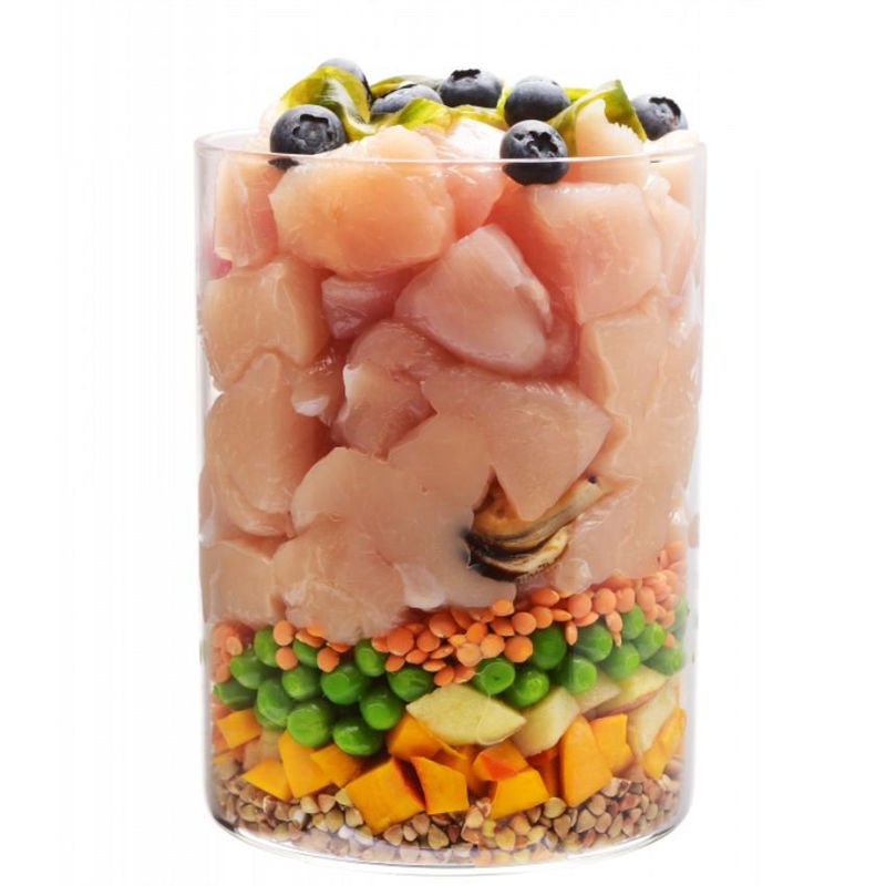 Ултра премиум суха храна за подрастващи кучета от едри породи Carnilove TRUE FRESH Chicken Junior Large със 60% истинско, прясно пилешко месо, обогатена със зеленоуста мида, червена леща и келп   11.4 кг. 2