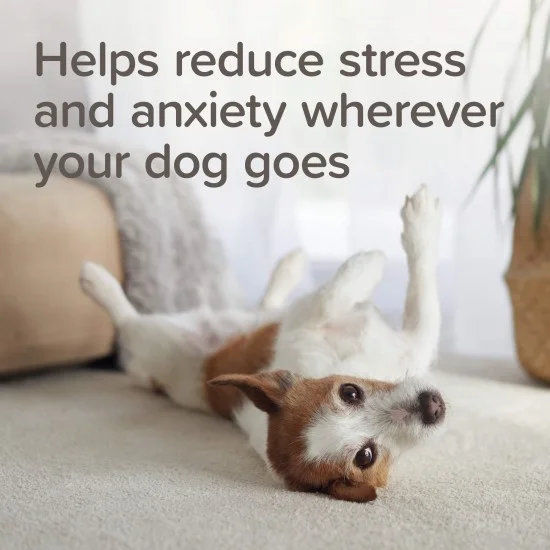 Beaphar StressLess Herbal Calming Collar - успокояващ нашийник за кучета на билкова основа, 65 см 9