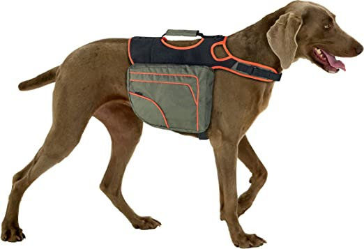 Мултифункционална чанта за кучета FlamingoMULTIFUNCTION BACKPACK STANLEY GREEN/ORANGE Зелен 2