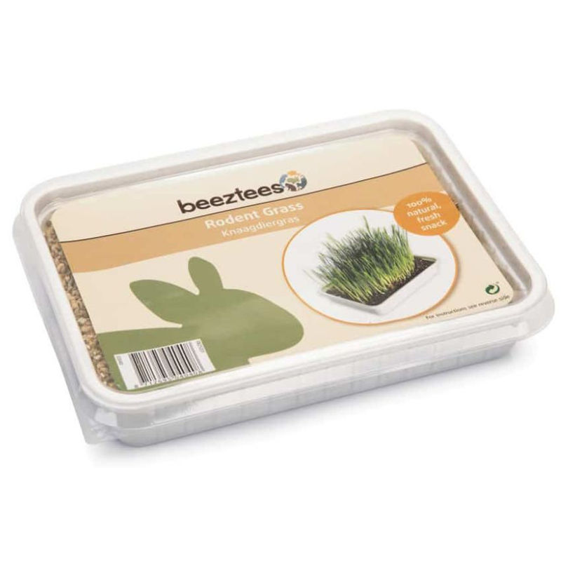 Трева Beeztees Rodent Grass за гризачи в пластмасова кутия 130 гр.