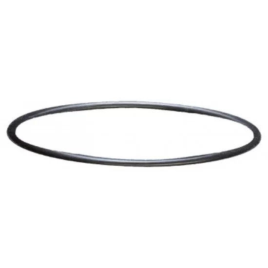 Уплътнителен пръстен за външни филтри sera fil 250 и 400