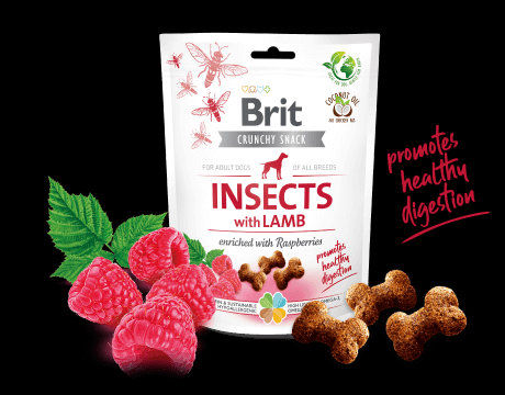 Brit Care Crunchy Cracker. Insects with Lamb enriched with Raspberries – лакомство за кучета с насекоми, агнешко и малини за здравословно храносмилане 0.200 кг.