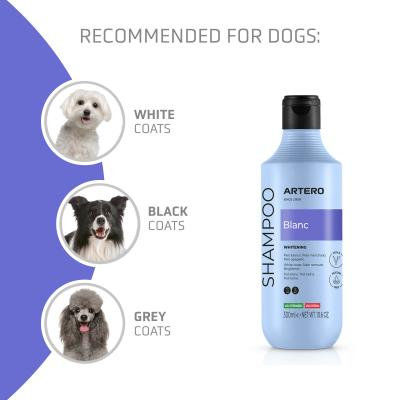 Blanc ШАМПОАН ЗА БЕЛИ, ЧЕРНИ И СИВИ КОЗИНИ 300 МЛ 2