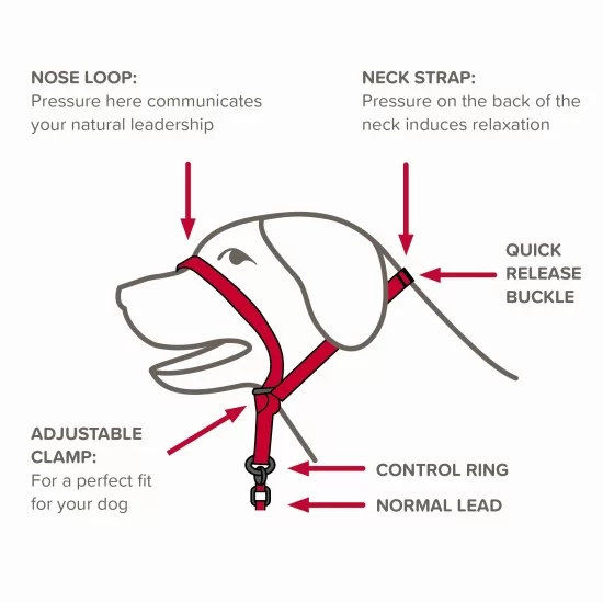 Beaphar Gentle Leader повод срещу дърпане за куче, черен, едри породи 5