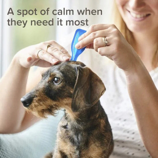 Beaphar CaniComfort Calming Spot On - успокояващи капки с феромони за кучета 3