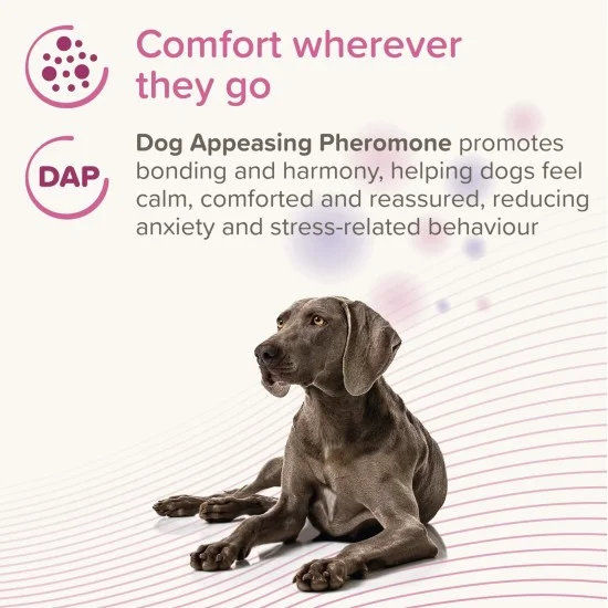 Beaphar CaniComfort Calming Spot On - успокояващи капки с феромони за кучета 11