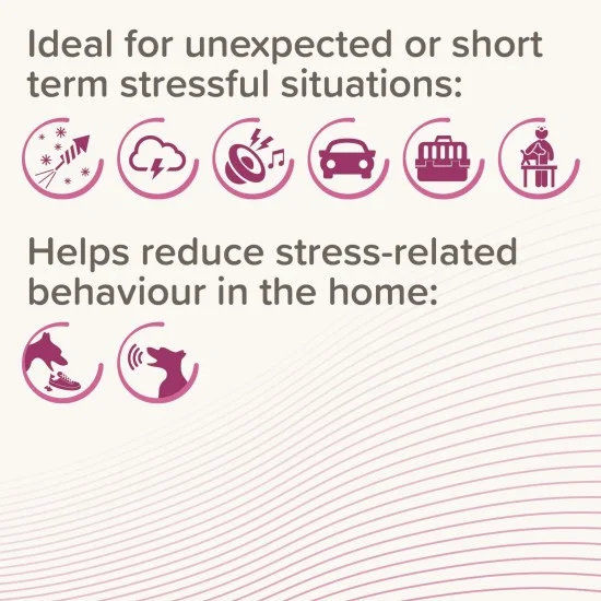 Beaphar CaniComfort Calming Spot On - успокояващи капки с феромони за кучета 9