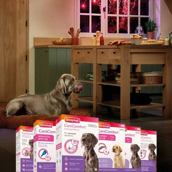 Beaphar CaniComfort Calming Spot On - успокояващи капки с феромони за кучета 7