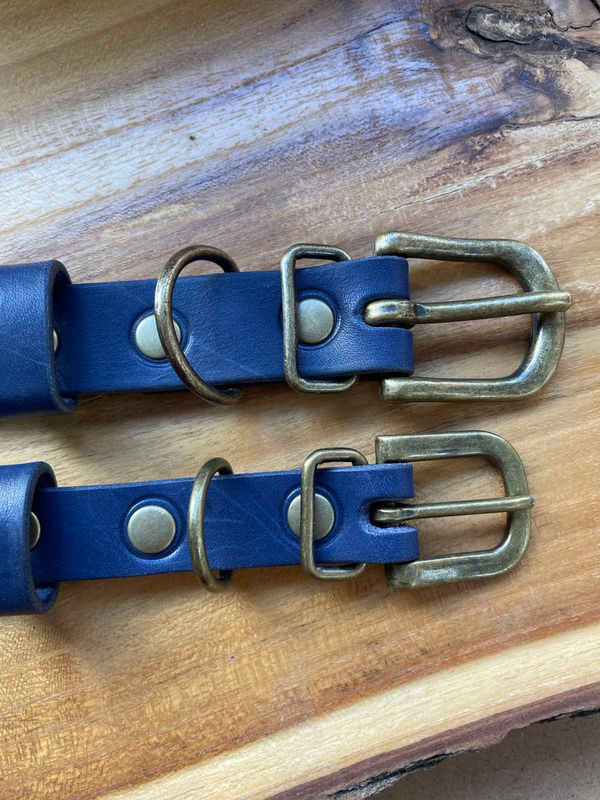 Нашийник „Neptun” 6