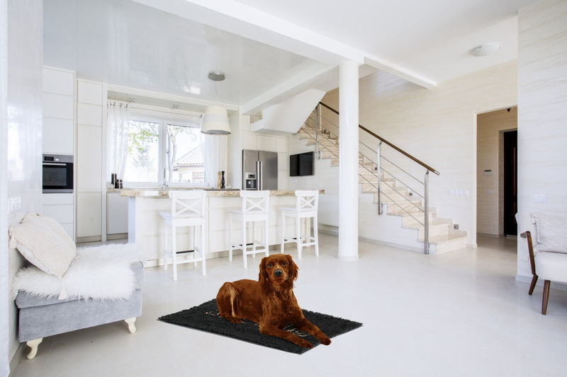 Микрофибърна постелка – Zolux ABSOR MICROFIBER – 55 x 80 см 80 см.