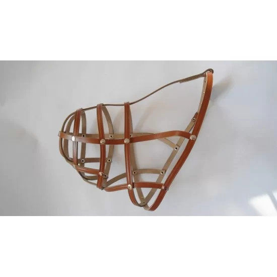 Намордник сан бернар