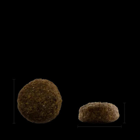 Chicopee Classic Nature Adult храна за кучета над 12 месеца с агнешко и ориз, 2 кг