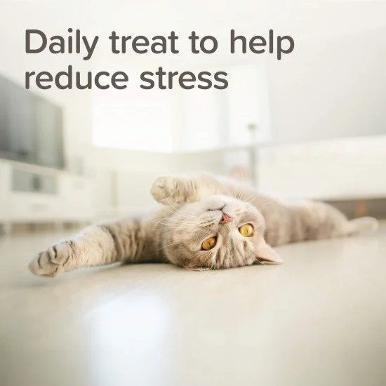 Beaphar StressLess билкови успокояващи хапки за котки, 35 г 11