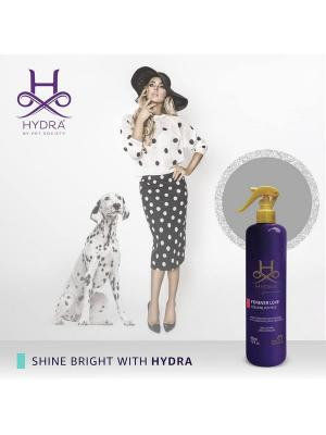 HYDRA GROOMERS ПАРФЮМ FOREVER LOVE 450 МЛ 2