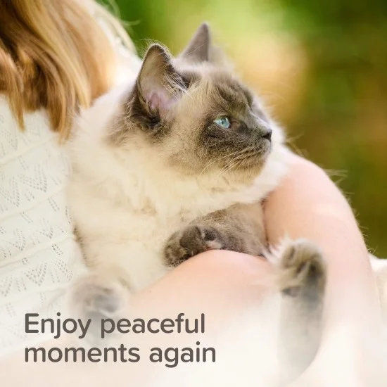 Beaphar StressLess Herbal Calming Spot-On успокояващи пипети за котки, 3 бр 11