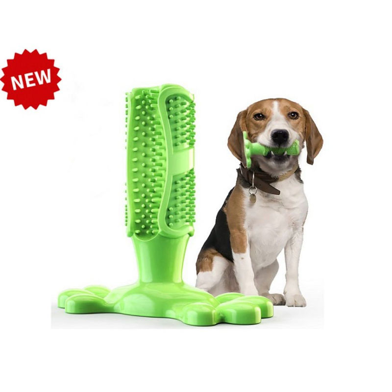 Дентална играчка за куче PET INTEREST Paw-Shaped Dog Toothbrush 12