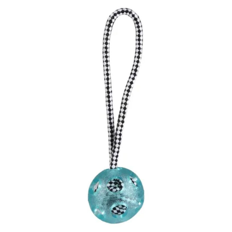 Гумена топка за куче с въже 25 см син