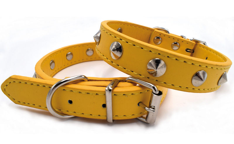 Кожен нашийник с метални капси RECORD PUNK жълт L