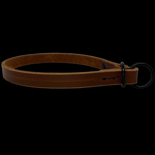 Строг нашийник 2