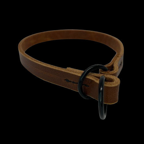 Строг нашийник