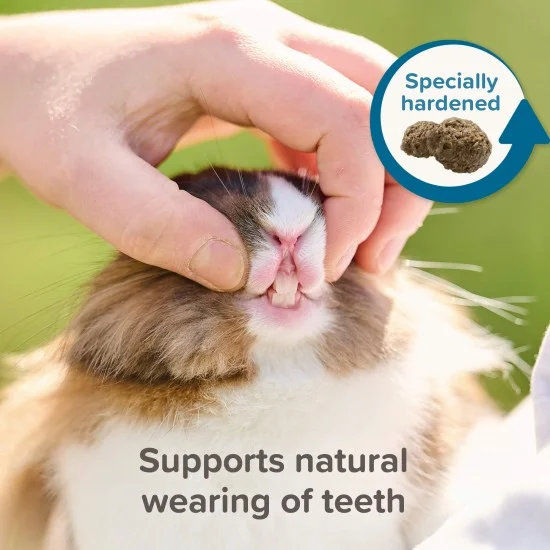 Care + Super premium Senior храна за възрастни зайци, 1.5 кг 9