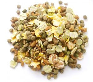 Mr Johnson’s Choice Guinea Pig FOOD 2