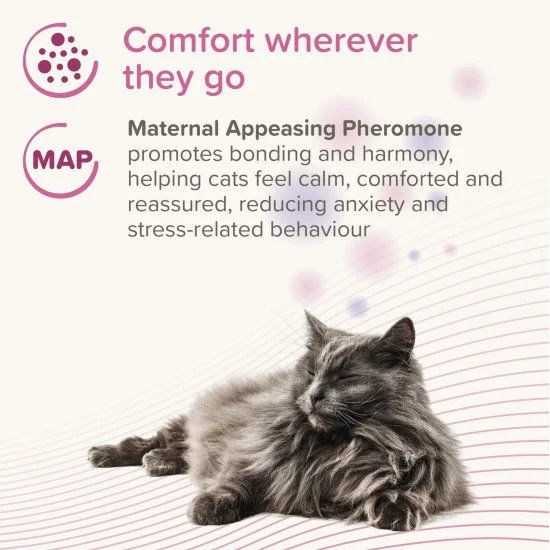 Beaphar CatComfort Calming Spot On - успокояващи капки с феромони за котки 11